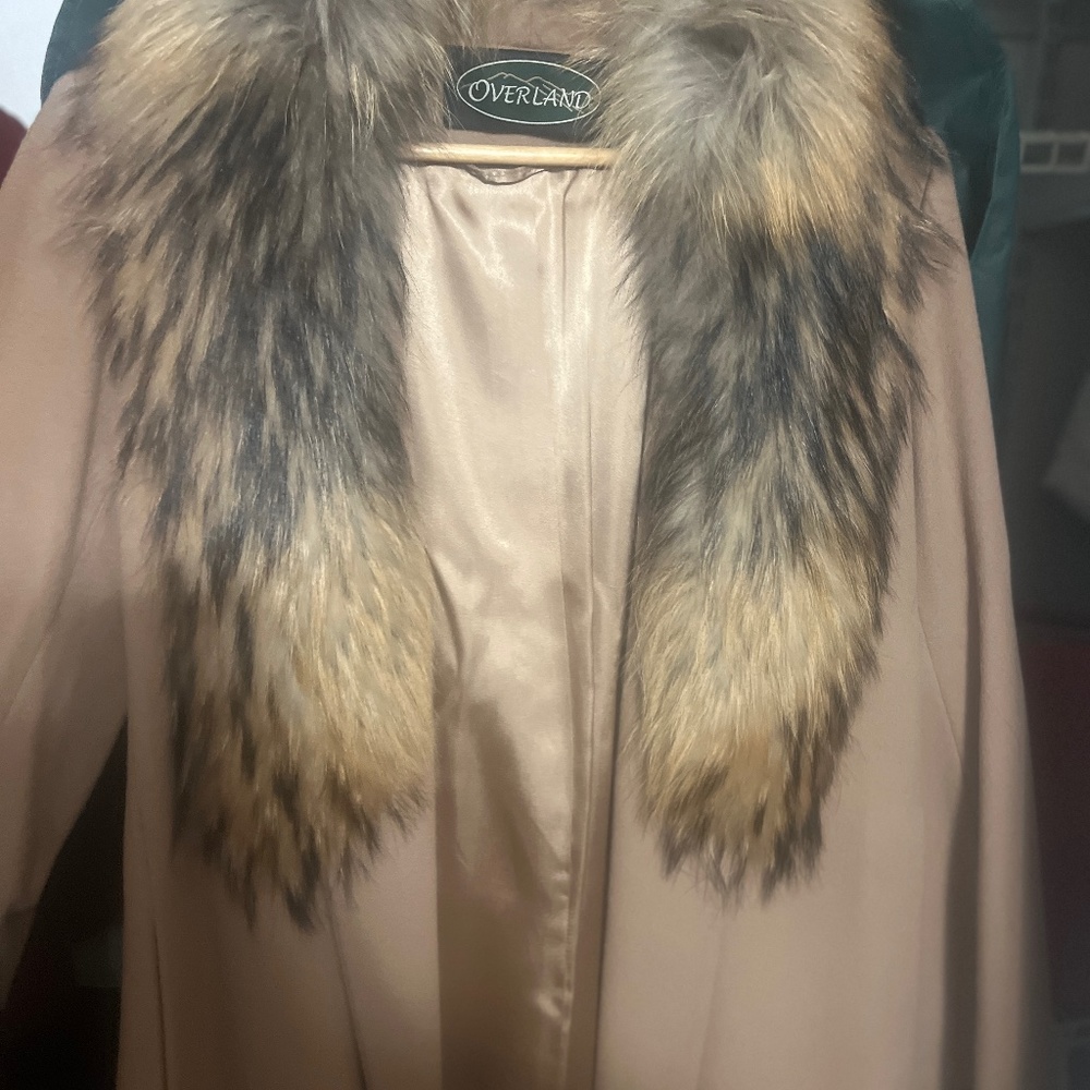 Real Fur Natural Whole Asiatic Racoon